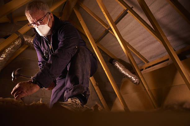 Best Insulation Maintenance and Repair in Chatham, VA