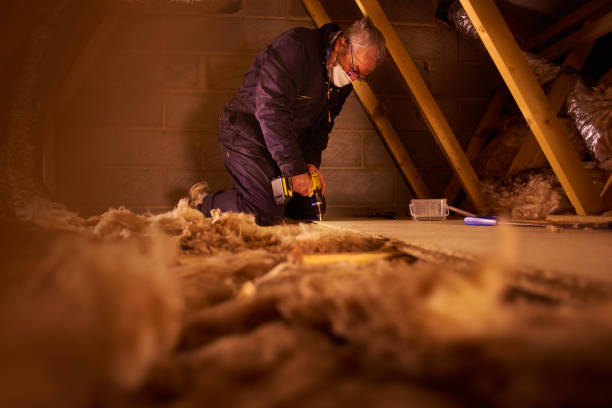 Types of Insulation We Offer in VA